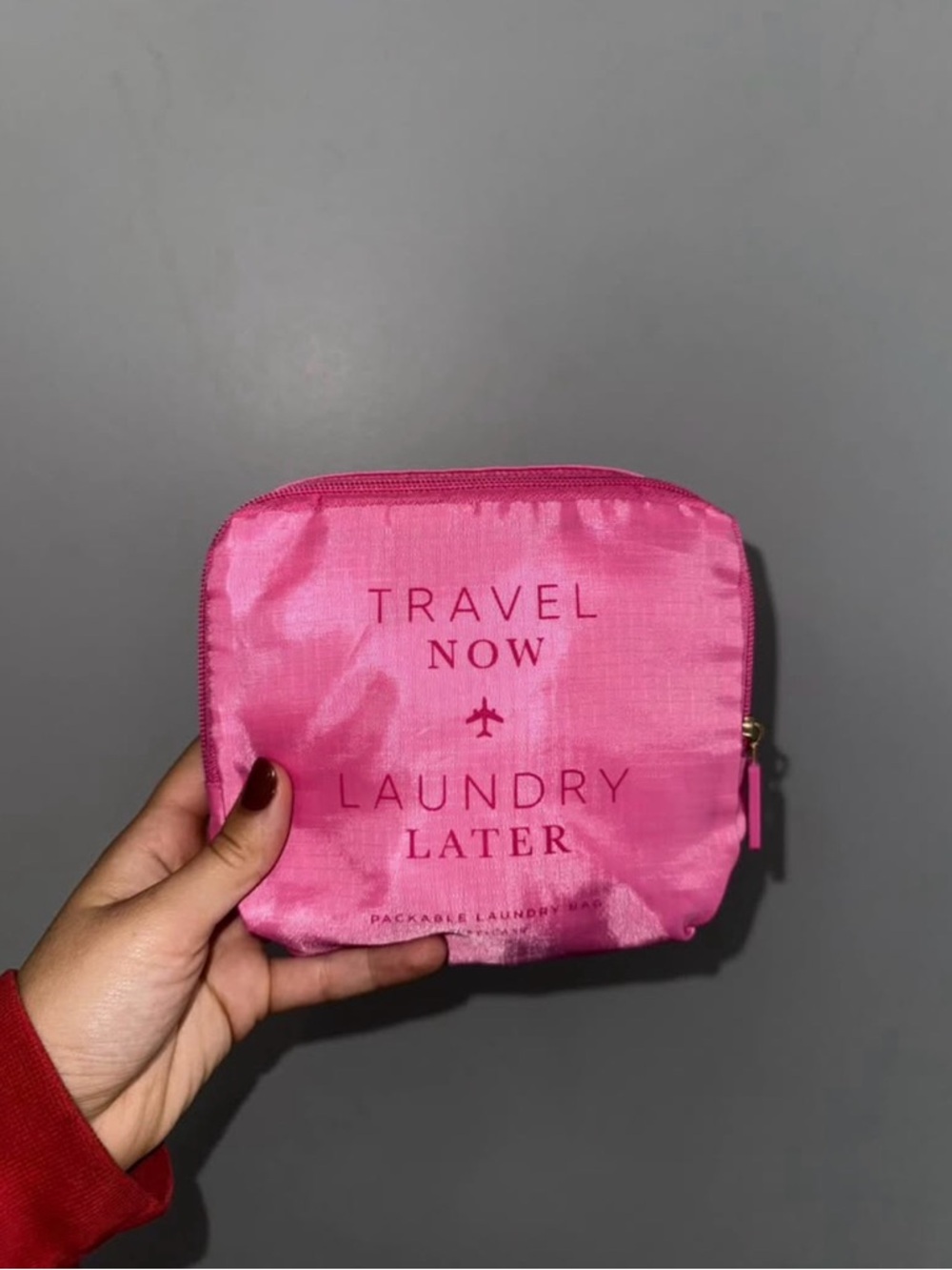 Pink Travel Laundry Pouch - Travel Now Laundry Later